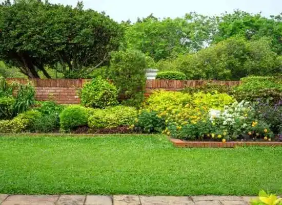 landscaping services Hollandale